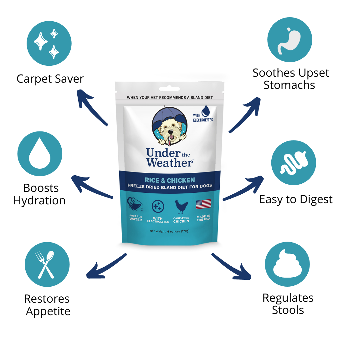 Chicken & Rice Bland Diet For Dogs