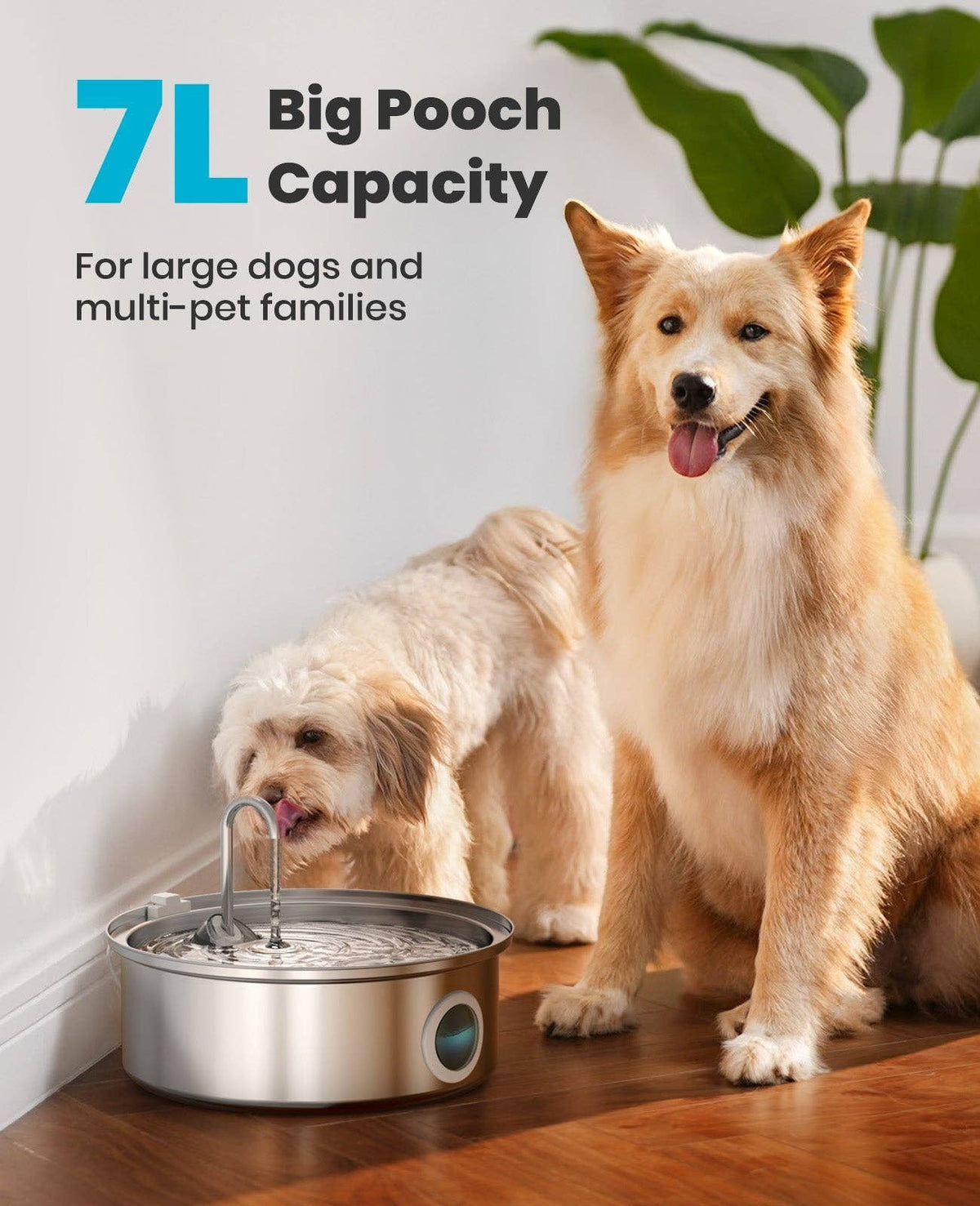 Oneisall 7L Pet Water Fountain with Visual Water Level