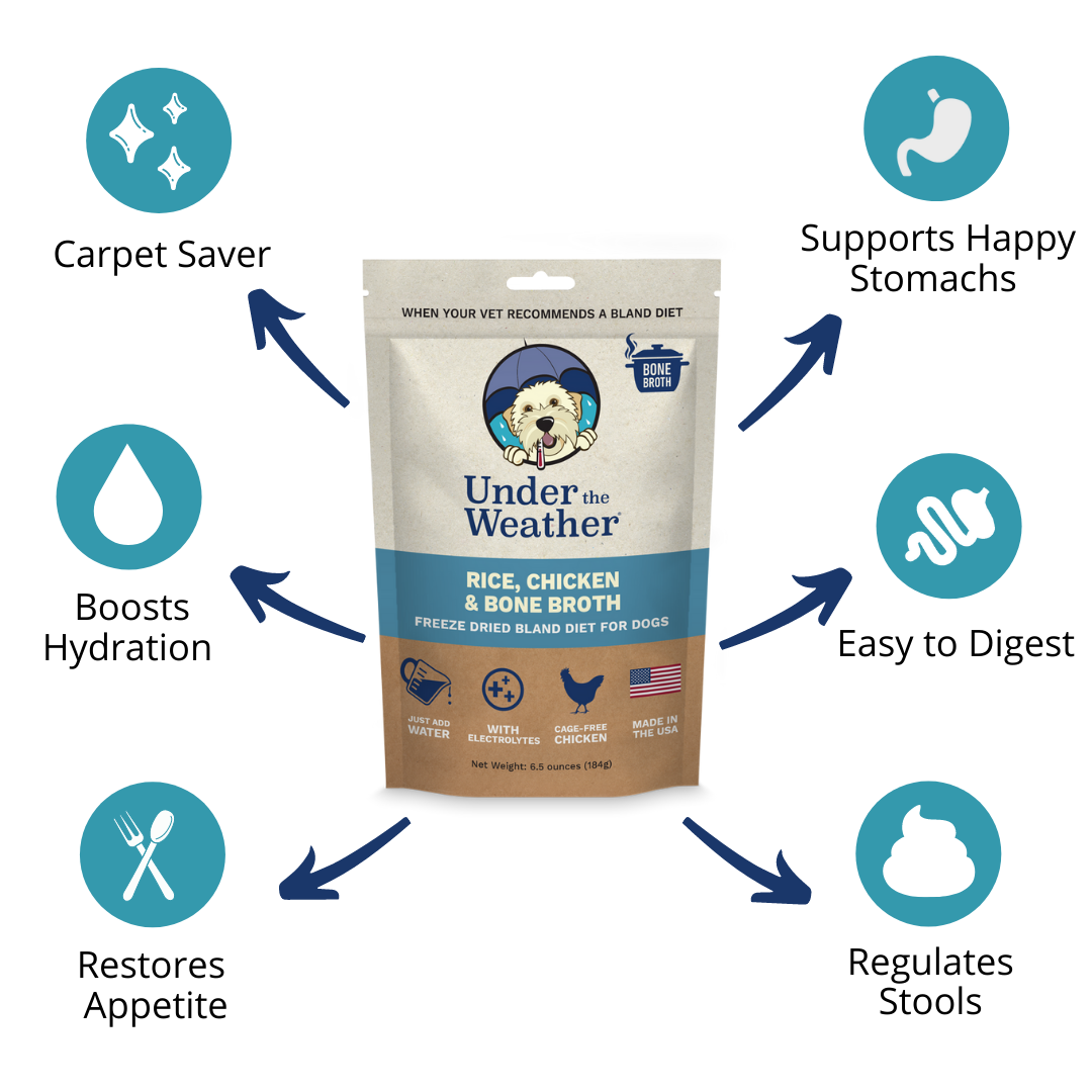 Chicken, Rice, & Bone Broth Bland Diet For Dogs