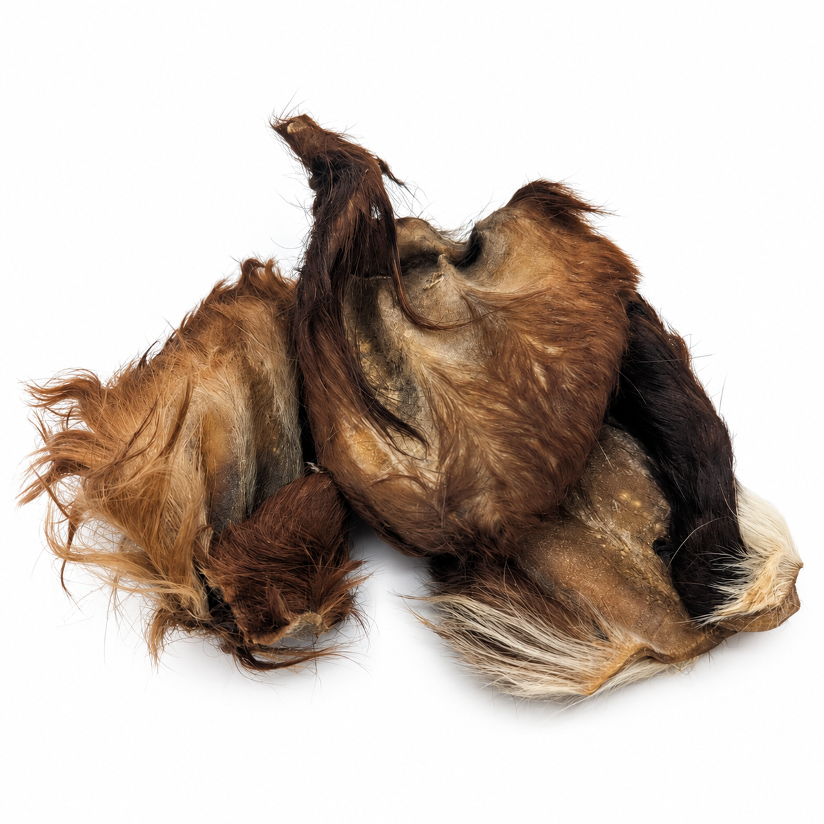 Natural Beef Ears with Hair