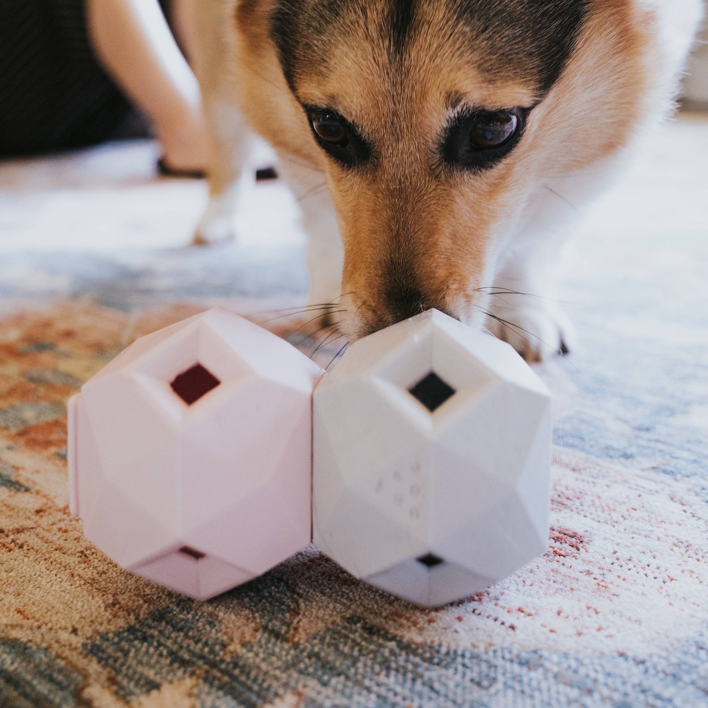 Modern Interactive Dog Puzzle Toy - The Odin (6 unit / case)