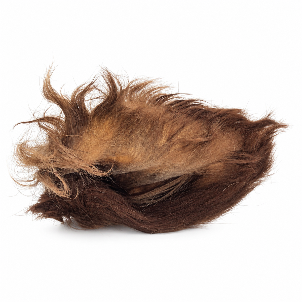 Natural Beef Ears with Hair