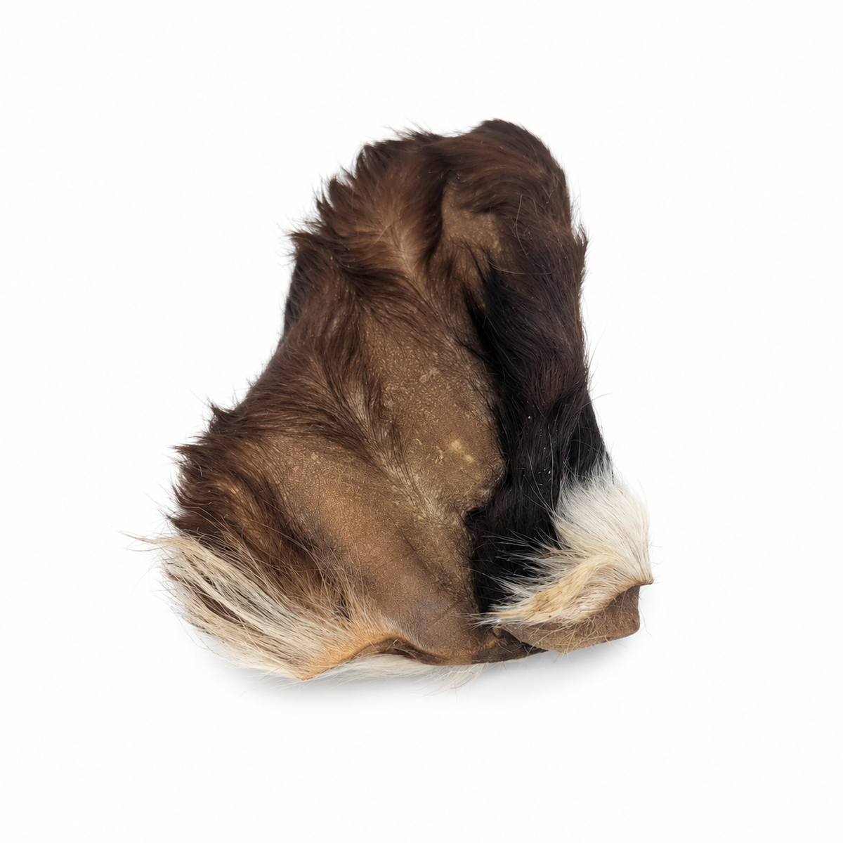 Natural Beef Ears with Hair