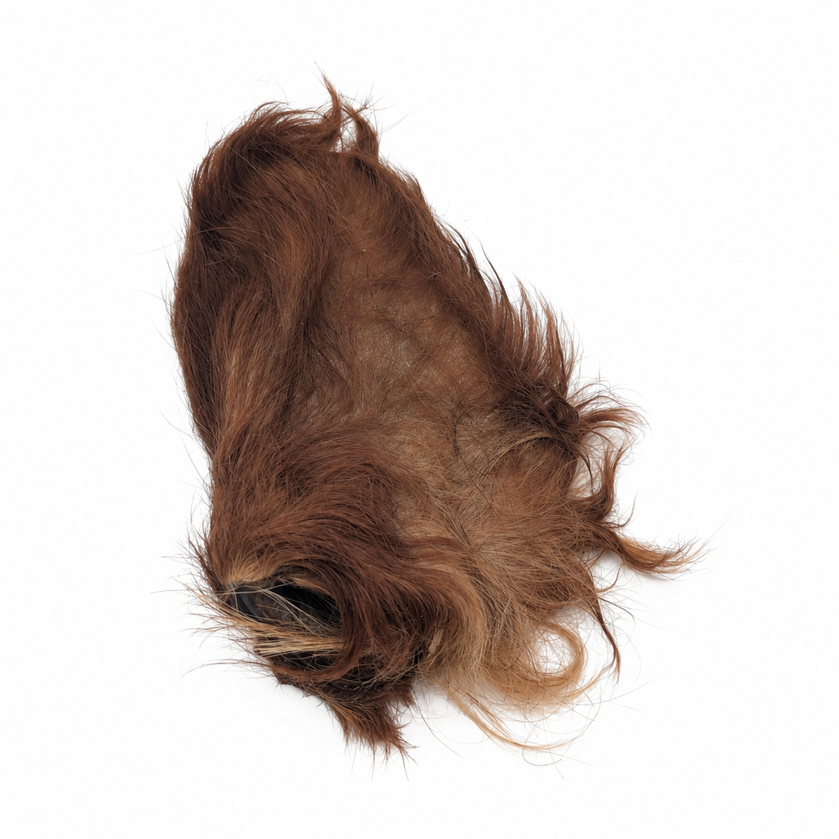 Natural Beef Ears with Hair