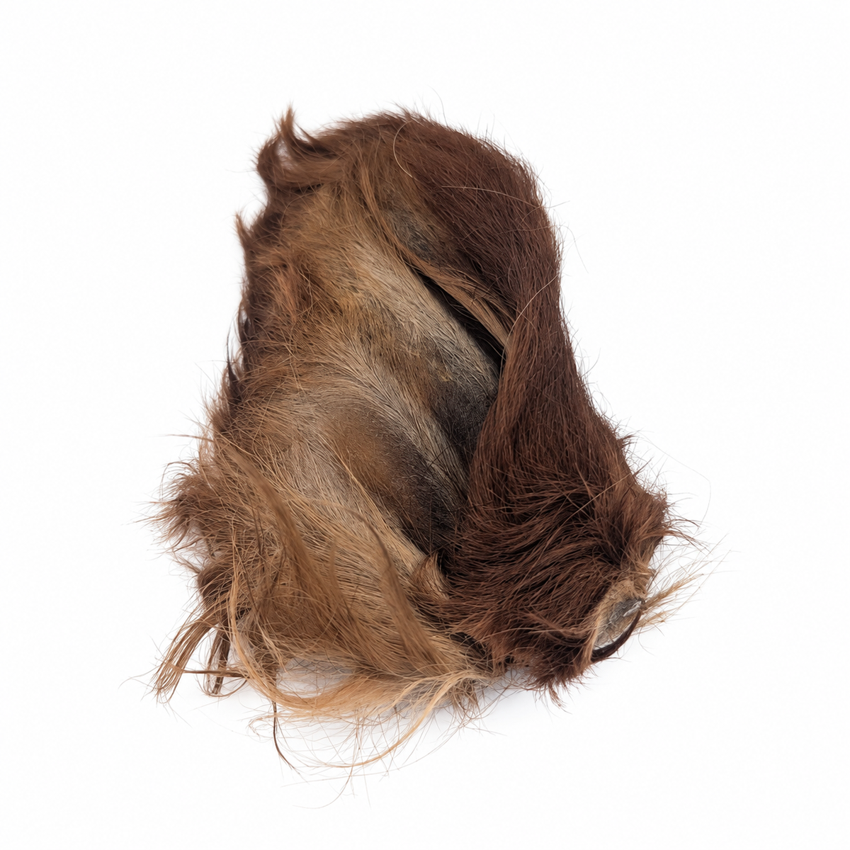 Natural Beef Ears with Hair