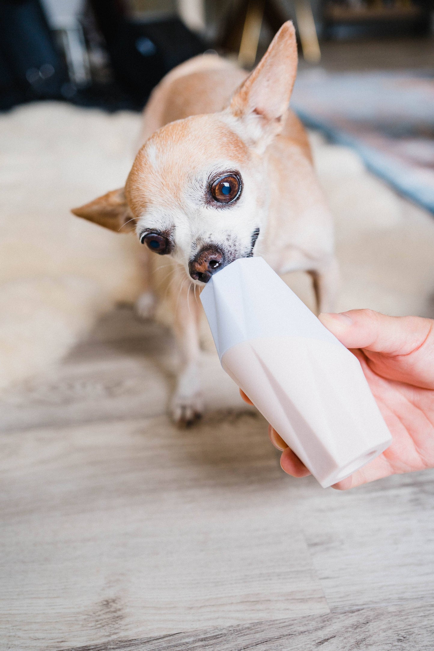 Modern Treat Filler/Stuffer Toy for Dogs - The Ubbe (6 unit)